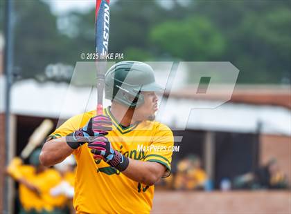 Thumbnail 2 in Pine Forest @ Terry Sanford photogallery.