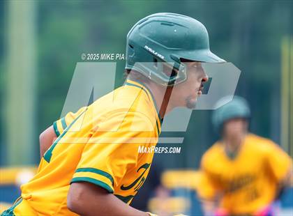 Thumbnail 3 in Pine Forest @ Terry Sanford photogallery.