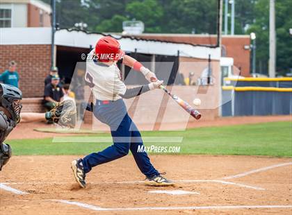 Thumbnail 2 in Pine Forest @ Terry Sanford photogallery.