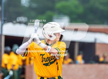 Thumbnail 2 in Pine Forest @ Terry Sanford photogallery.