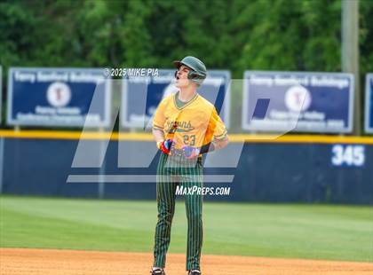 Thumbnail 1 in Pine Forest @ Terry Sanford photogallery.