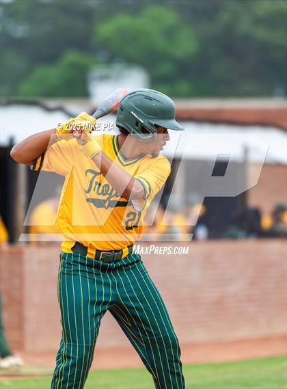 Thumbnail 1 in Pine Forest @ Terry Sanford photogallery.