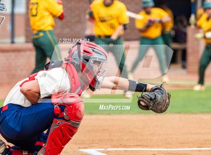 Thumbnail 2 in Pine Forest @ Terry Sanford photogallery.
