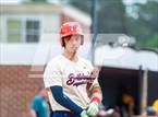 Photo from the gallery "Pine Forest @ Terry Sanford"