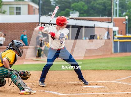 Thumbnail 2 in Pine Forest @ Terry Sanford photogallery.