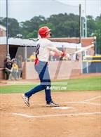 Photo from the gallery "Pine Forest @ Terry Sanford"