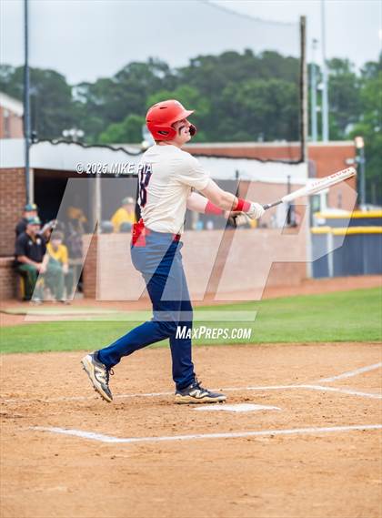 Thumbnail 1 in Pine Forest @ Terry Sanford photogallery.