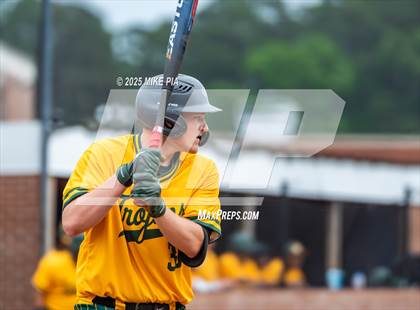 Thumbnail 1 in Pine Forest @ Terry Sanford photogallery.
