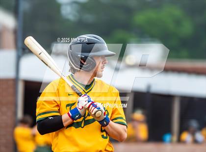Thumbnail 2 in Pine Forest @ Terry Sanford photogallery.