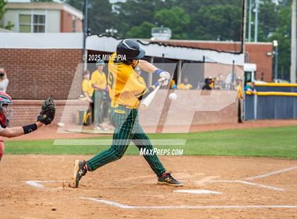 Thumbnail 1 in Pine Forest @ Terry Sanford photogallery.