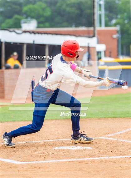 Thumbnail 2 in Pine Forest @ Terry Sanford photogallery.