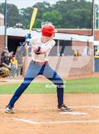 Photo from the gallery "Pine Forest @ Terry Sanford"