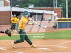 Photo from the gallery "Pine Forest @ Terry Sanford"