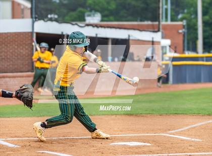 Thumbnail 3 in Pine Forest @ Terry Sanford photogallery.