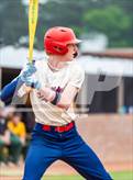 Photo from the gallery "Pine Forest @ Terry Sanford"