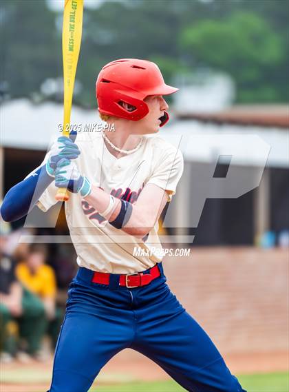 Thumbnail 2 in Pine Forest @ Terry Sanford photogallery.