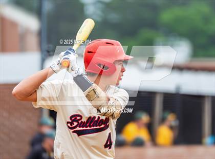 Thumbnail 2 in Pine Forest @ Terry Sanford photogallery.