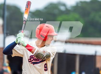 Thumbnail 2 in Pine Forest @ Terry Sanford photogallery.