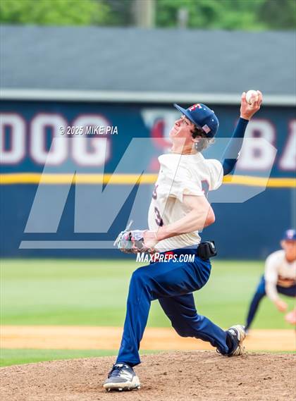 Thumbnail 1 in Pine Forest @ Terry Sanford photogallery.