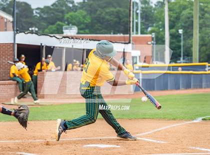 Thumbnail 2 in Pine Forest @ Terry Sanford photogallery.