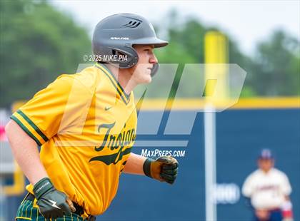 Thumbnail 1 in Pine Forest @ Terry Sanford photogallery.