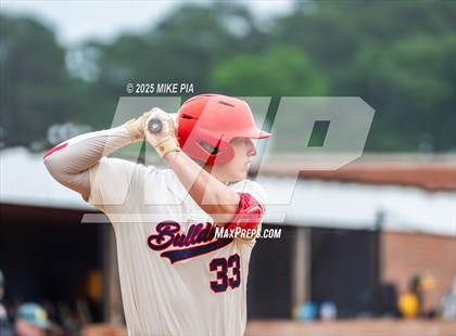 Thumbnail 1 in Pine Forest @ Terry Sanford photogallery.