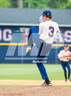 Photo from the gallery "Pine Forest @ Terry Sanford"