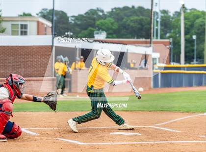 Thumbnail 2 in Pine Forest @ Terry Sanford photogallery.