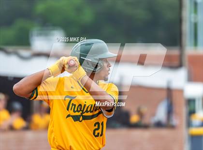 Thumbnail 3 in Pine Forest @ Terry Sanford photogallery.