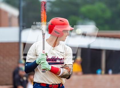 Thumbnail 1 in Pine Forest @ Terry Sanford photogallery.