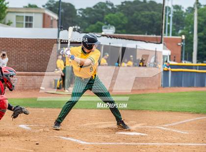 Thumbnail 3 in Pine Forest @ Terry Sanford photogallery.