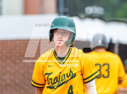 Thumbnail 2 in Pine Forest @ Terry Sanford photogallery.