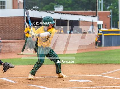 Thumbnail 2 in Pine Forest @ Terry Sanford photogallery.