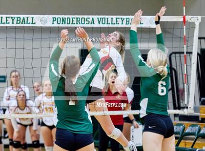 Thumbnail 3 in Oakdale @ Ponderosa (CIF SJS D3 Playoff) photogallery.