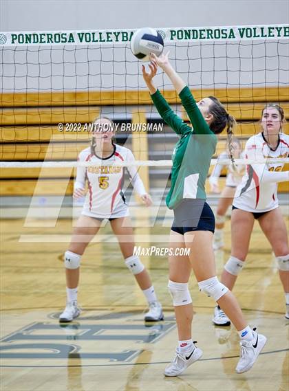 Thumbnail 3 in Oakdale @ Ponderosa (CIF SJS D3 Playoff) photogallery.