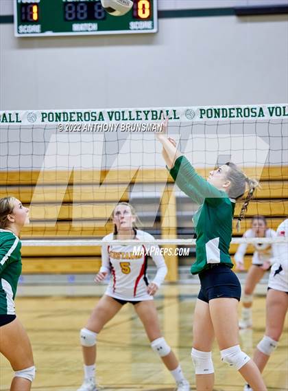 Thumbnail 1 in Oakdale @ Ponderosa (CIF SJS D3 Playoff) photogallery.