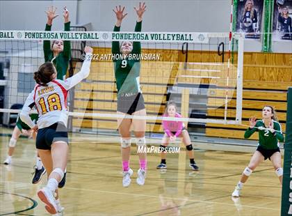 Thumbnail 1 in Oakdale @ Ponderosa (CIF SJS D3 Playoff) photogallery.