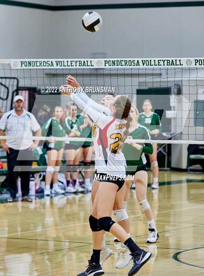 Thumbnail 1 in Oakdale @ Ponderosa (CIF SJS D3 Playoff) photogallery.