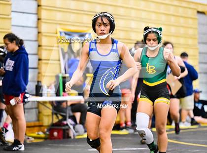 Thumbnail 1 in Lady Big Kat Tournament photogallery.