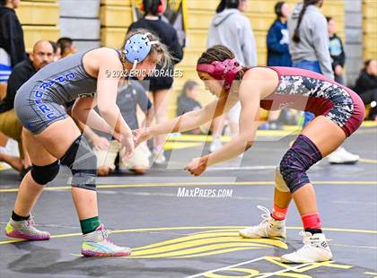 Thumbnail 1 in Lady Big Kat Tournament photogallery.