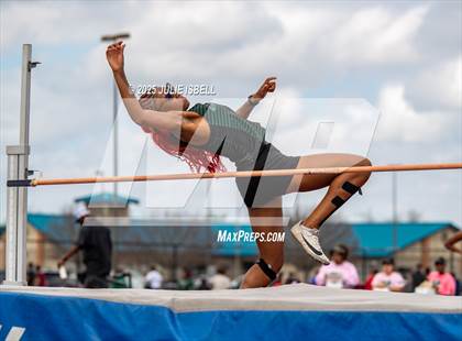 Thumbnail 2 in Dickinson C.L. Hanna Gator Relays photogallery.