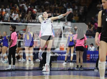 Thumbnail 3 in Chaparral vs. Denver South (CHSAA 5A First Round) photogallery.