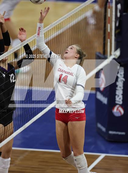 Thumbnail 2 in Chaparral vs. Denver South (CHSAA 5A First Round) photogallery.