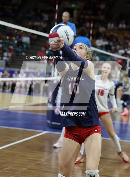 Thumbnail 3 in Chaparral vs. Denver South (CHSAA 5A First Round) photogallery.