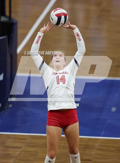 Thumbnail 3 in Chaparral vs. Denver South (CHSAA 5A First Round) photogallery.