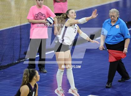 Thumbnail 1 in Chaparral vs. Denver South (CHSAA 5A First Round) photogallery.