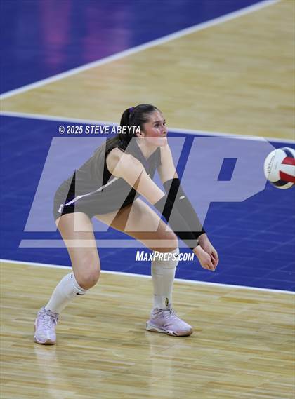 Thumbnail 3 in Chaparral vs. Denver South (CHSAA 5A First Round) photogallery.