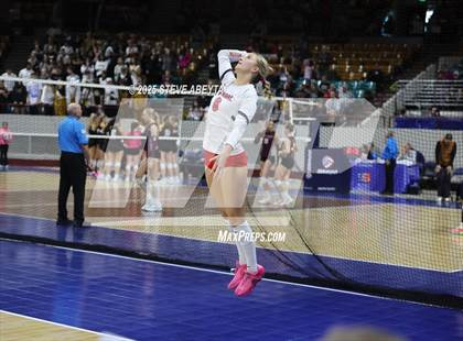 Thumbnail 2 in Chaparral vs. Denver South (CHSAA 5A First Round) photogallery.