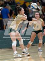 Photo from the gallery "Linden @ Notre Dame Prep (NDP Quad)"