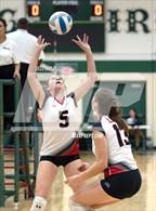 Photo from the gallery "Linden @ Notre Dame Prep (NDP Quad)"